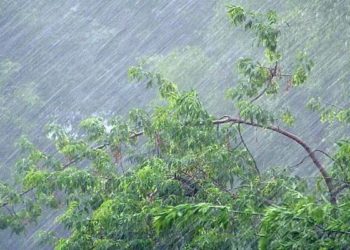 В Сочи ожидаются сильные дожди, грозы и ветер до 20 м/с 18 июля