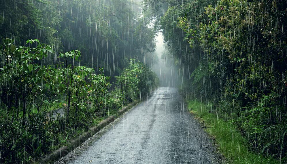 Синоптики перечислили районы Кубани, где пройдут ливневые дожди с грозами