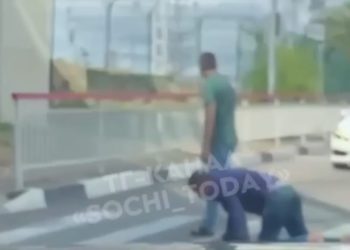В Сочи пешеход переводил через дорогу мужчину на четвереньках