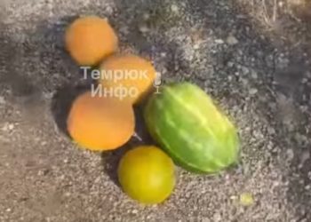 На Кубани туристы воровали с полей дыни и арбузы