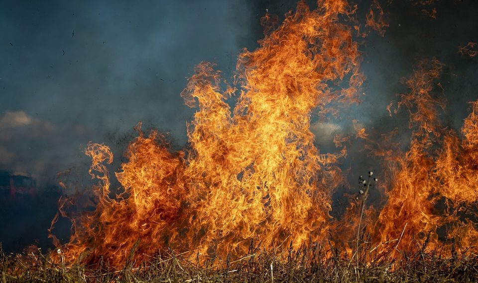 В бухте Инал продолжается тушение лесного пожара