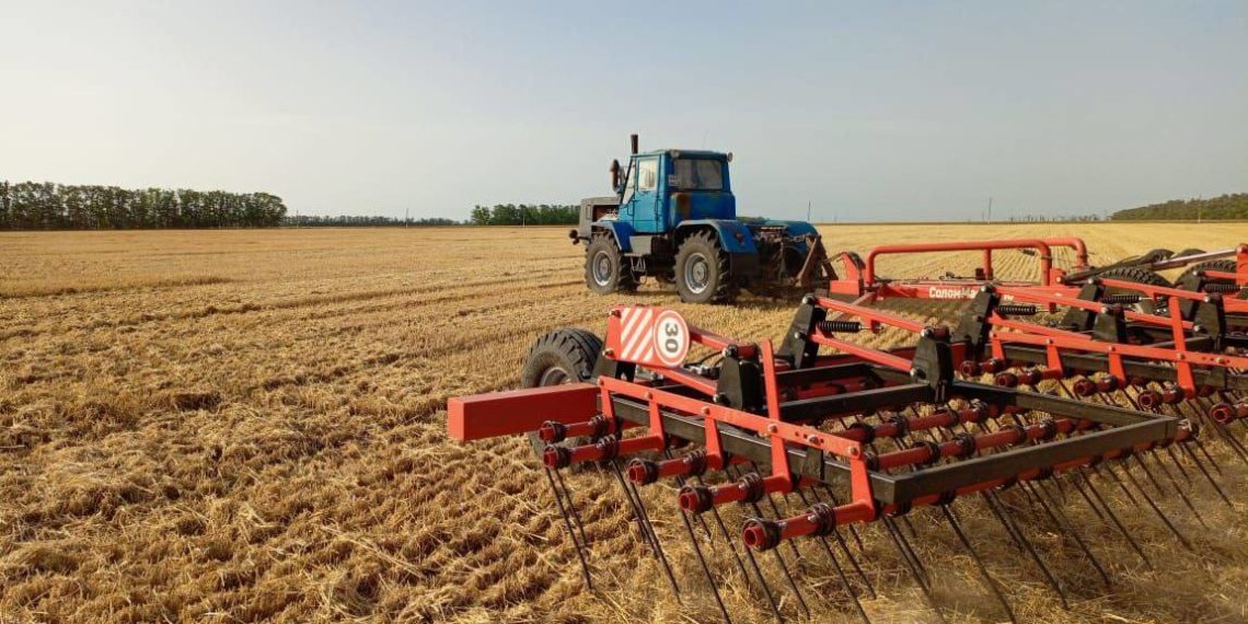 Кондратьев: на Кубани собрали урожай зерновых с 1 млн гектар