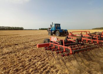 Кондратьев: на Кубани собрали урожай зерновых с 1 млн гектар