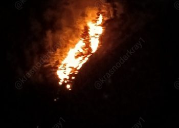 На Кубани из-за пожара эвакуируют людей из близлежащих баз отдыха в бухте Инал