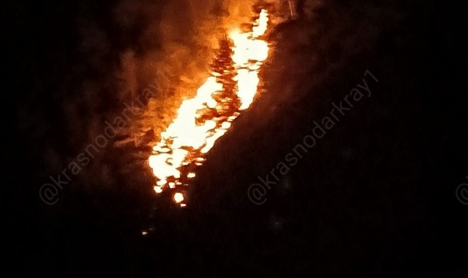 На Кубани из-за пожара эвакуируют людей из близлежащих баз отдыха в бухте Инал