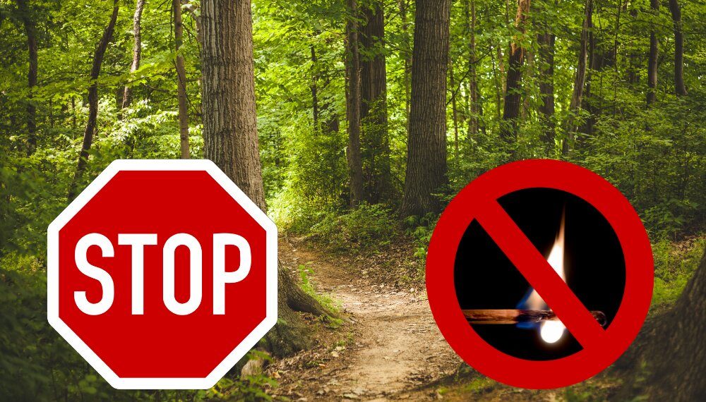 Известно, до какого числа продлили ограничения на пребывания в лесах Кубани