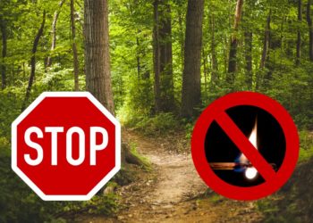 Известно, до какого числа продлили ограничения на пребывания в лесах Кубани