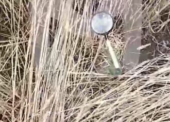 Mash: завербованные Киевом маргиналы пытались лупами поджечь поля на Кубани