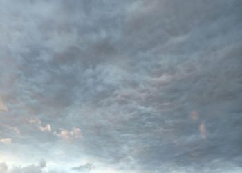 “Малыш, открой”: из окна в центре Краснодара выпал и погиб мужчина