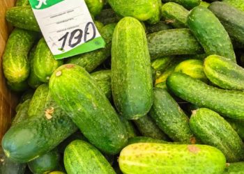 «Аграрный регион с дальневосточными ценами»: что почем на ярмарках в Краснодаре