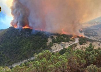 Огонь распространился уже на 28 га леса и зашел на территорию заповедника Утриш