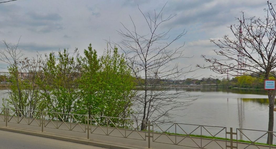 В Краснодаре массово гибнет рыба в Карасунских озерах