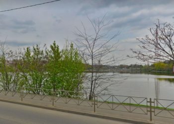 В Краснодаре массово гибнет рыба в Карасунских озерах