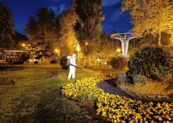 Жителям и гостям Краснодара запретили посещать парки два дня