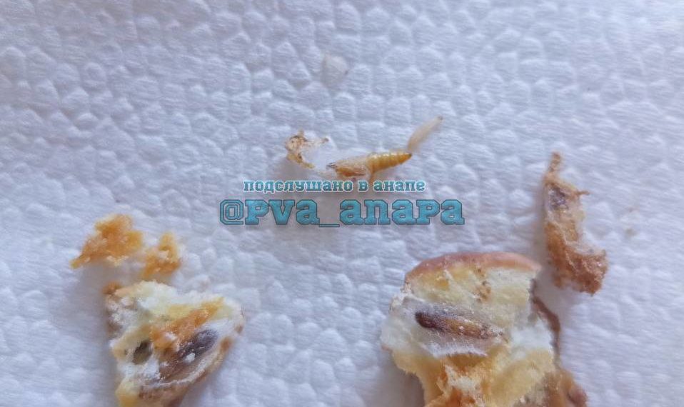 Жительница Кубани приобрела шоколадные печенья с начинкой из червей