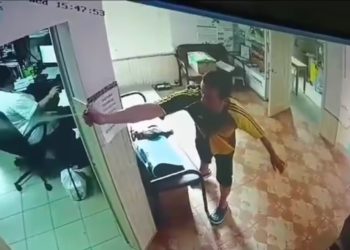 В Туапсе задержали неадеквата, распылившего газовый баллончик на сотрудника ветклиники