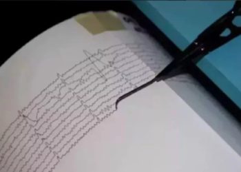 Сейсмолог объяснила повторяющиеся землетрясения у побережья Туапсе