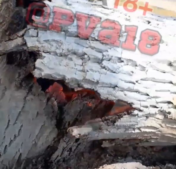 На трассе Новороссийск – Анапа на трассу упало дерево, внутри которого бушевал огонь