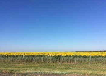 Синоптики определились с самыми знойными днями на новой неделе на Кубани