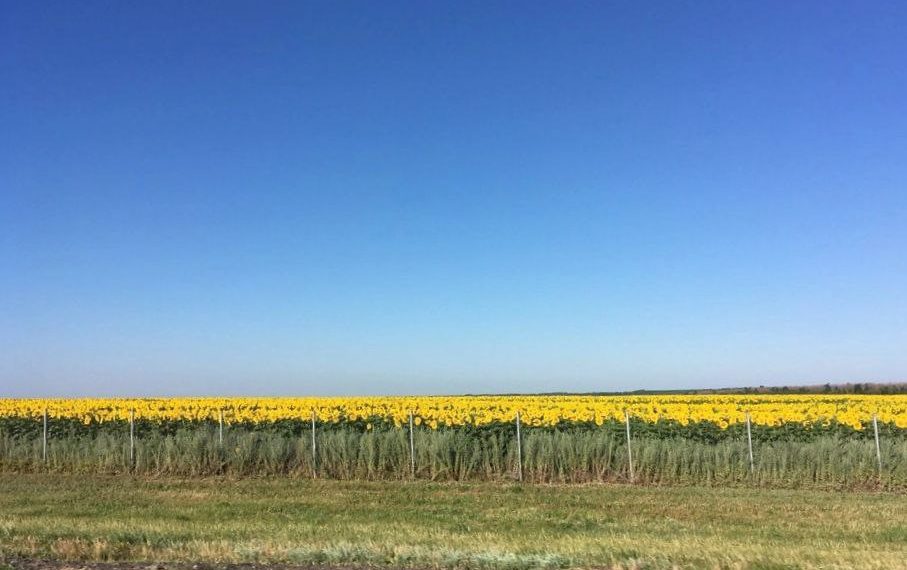 Синоптики определились с самыми знойными днями на новой неделе на Кубани
