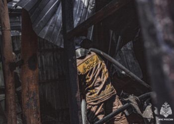 Из горящего здания на Кубани эвакуировали больше 40 животных