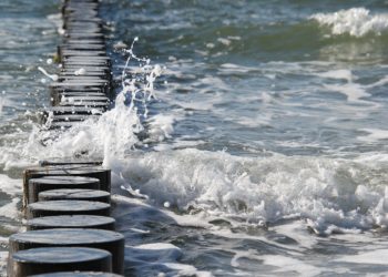 Кубань стала самым дорогим летним курортом России