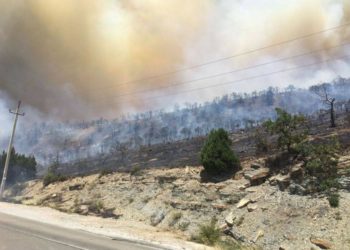 В Новороссийске объявили режим ЧС из-за ландшафтных пожаров