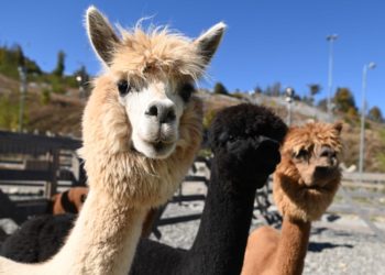 Повезло ли нам с погодой? Прогноз на четверг 11 июля в Краснодарском крае