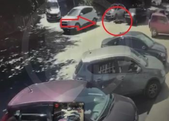 В Сочи сбили мигранта, пока тот убегал от полиции