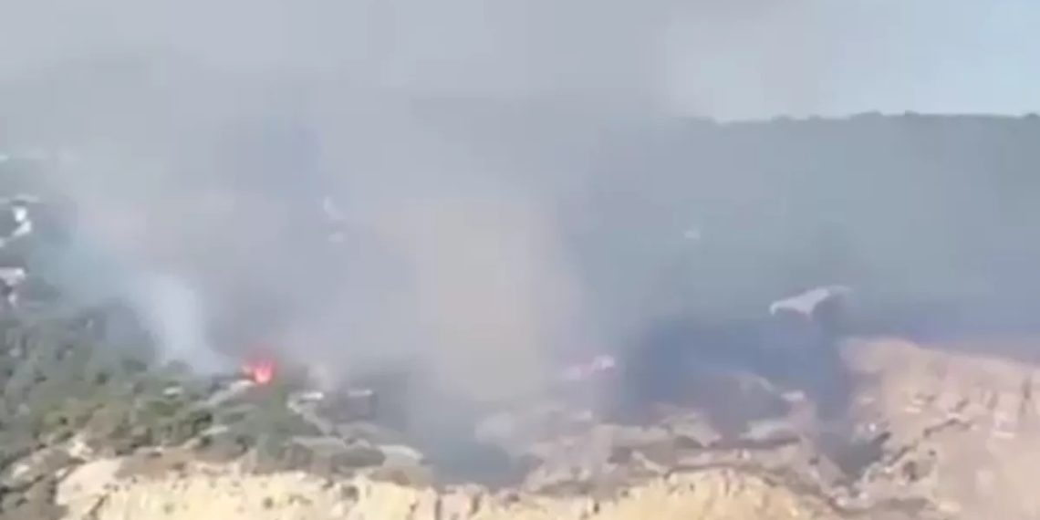 Пожар в лесу неподалеку от Анапы попало на видео