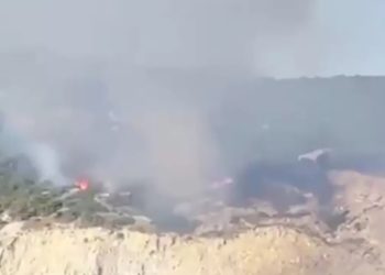 Пожар в лесу неподалеку от Анапы попало на видео