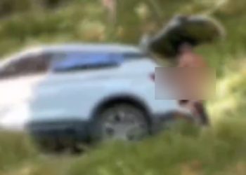 В Сочи непристойная пара занялась любовью в кустах