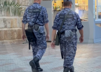 В Сочи пьяная туристка забросала камнями охранников на пляже