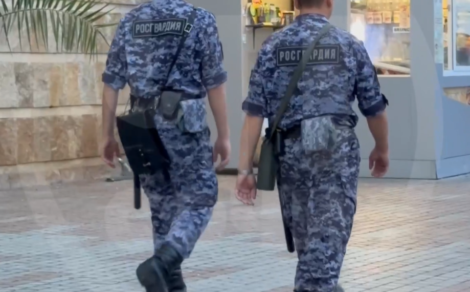 В Сочи пьяная туристка забросала камнями охранников на пляже