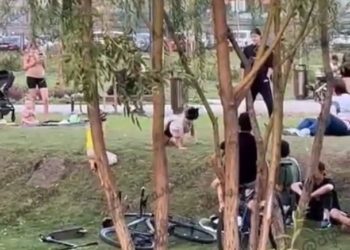 В Краснодаре девочка-квадробер покусала ребенка