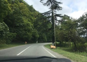 Погода в Краснодарском крае испортится стремительно. Известно, что придет