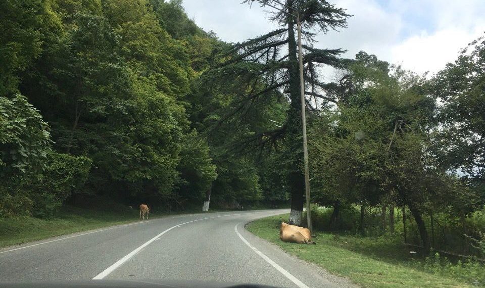 Погода в Краснодарском крае испортится стремительно. Известно, что придет
