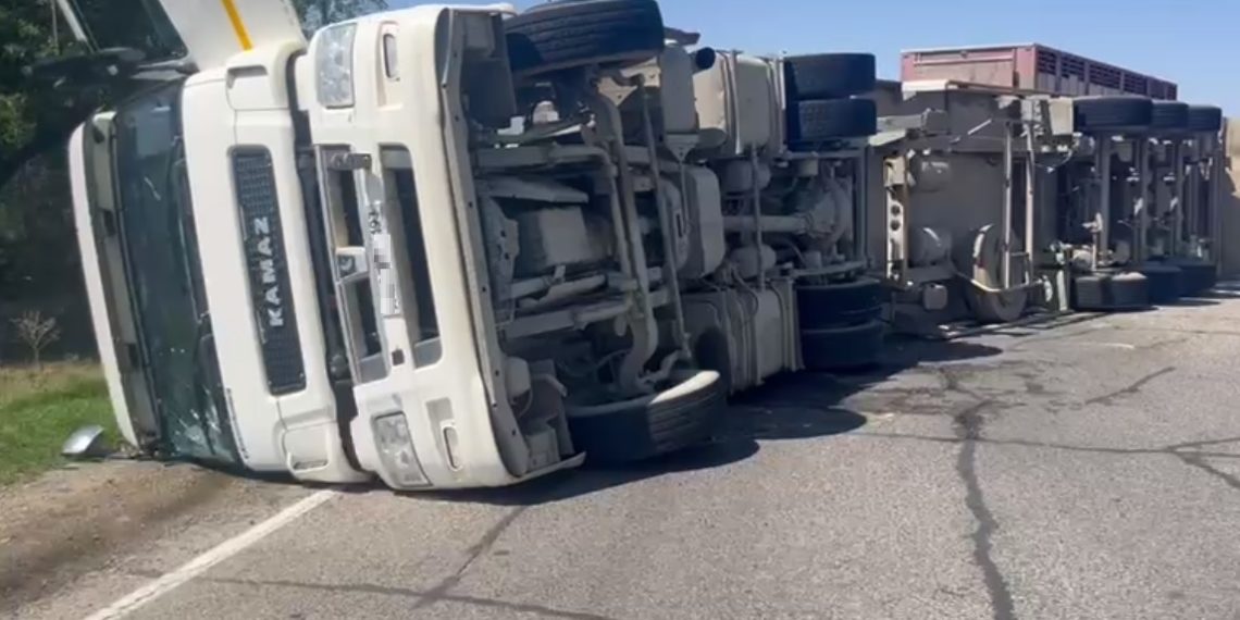 Жертвами ДТП с опрокинувшимся КамАЗом в Краснодарском крае стали шесть свиней