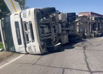 Жертвами ДТП с опрокинувшимся КамАЗом в Краснодарском крае стали шесть свиней