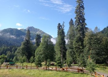 Стал известен прогноз погоды на неделю с 5 по 11 августа в Краснодарском крае