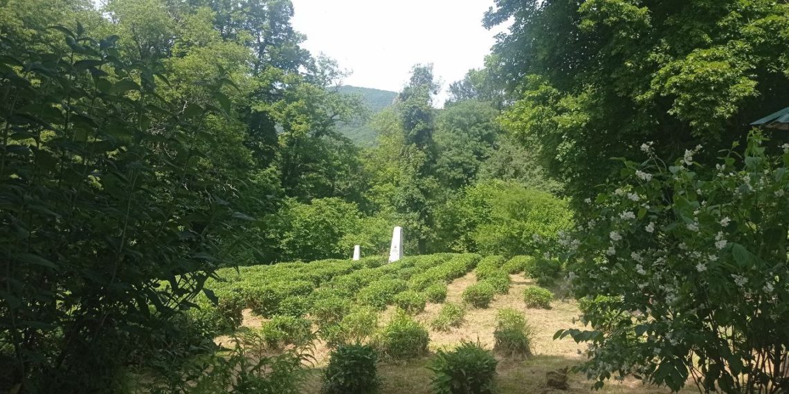 Синоптики ошарашили прогнозом на выходные 31 августа и 1 сентября на Кубани