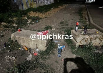 Жители Музыкального микрорайона Краснодара пожаловались на свинство соседей