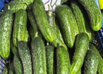 У посетителей ярмарок выходного дня в Краснодаре цены вызывают взрыв мозга