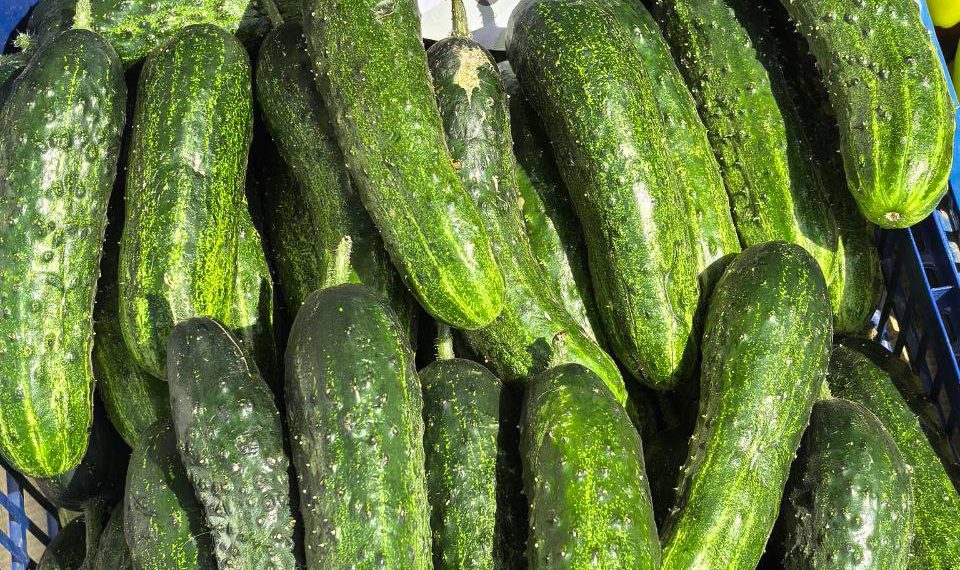 У посетителей ярмарок выходного дня в Краснодаре цены вызывают взрыв мозга