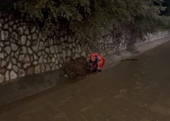 Прошунин: в Сочи подтопило больницу, сошел оползень, а также падали деревья