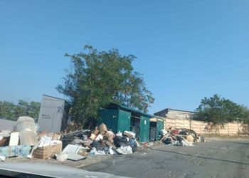 В Новороссийске привлекли к ответственности чиновников из-за проблем с мусора