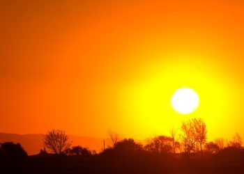 Ожидается аномально теплая декада на Кубани: температура превысит климатическую норму