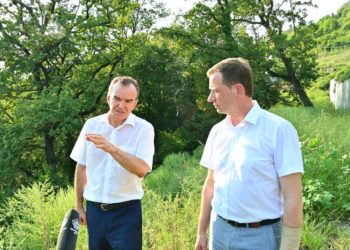 Кондратьев поручил Прошунину разобраться в ситуации с лесом на Мамайке