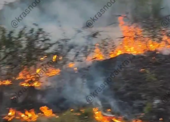 На Кубани поджигатель железной дороги оказал сопротивление при задержании