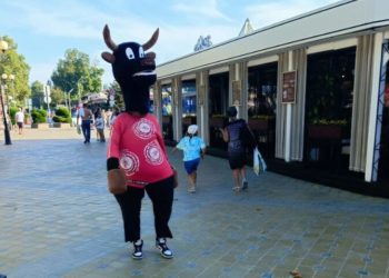 На Центральном пляже Анапы задержан аниматор-бык без разрешения